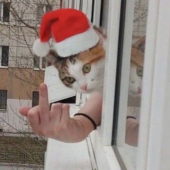 ViiDelta's profile picture. 28 | Minarchist | Macht Dinge mit FPGA, embedded Linux, NixOS und Kubernetes | Goth | Trader | Tweets in 🇩🇪/🇺🇸 | Zweitaccount @DeltaVII | Banner by @mrcknut