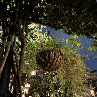 likerishab's profile picture. Exceptionally Weird, Offense is my genre || Design eliminator