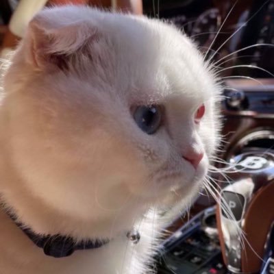 oush9a's profile picture. Welcome to my world! 𐙚 Sharing my feelings, my thoughts and beautiful memories 𐙚