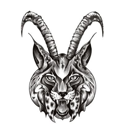 5fab221192's profile picture. 