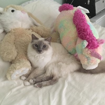 ukbrianatkinson's profile picture. International Sales, Marketing, Company and Artist Management expert, specialising in Music, Film, and Video Publishing.