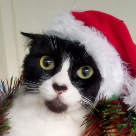 yourbabyfeeder's profile picture. can't do well
when i'm thinking 'bout leaving,
but i'm gonna try