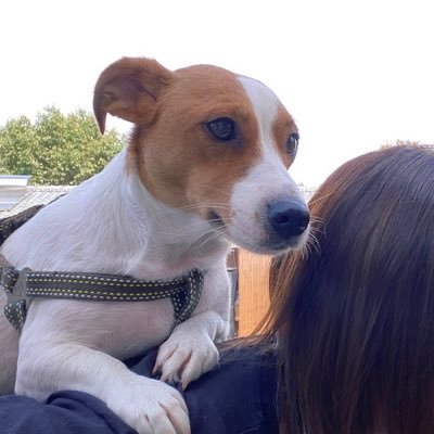 NUKO777vvv's profile picture. 僕のだぞ！！