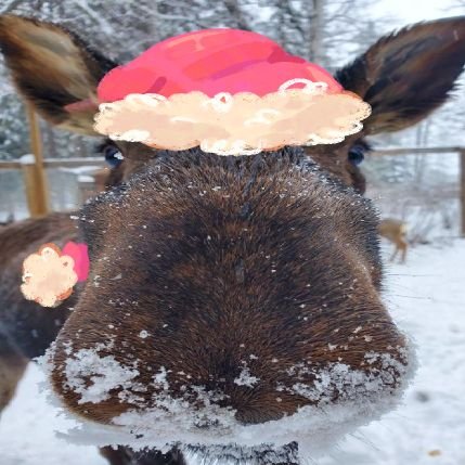 drwsy9's profile picture. 🎄 festive artist..er // boober 👾 // dt/wss go AWAY // 18 // stock image moose
