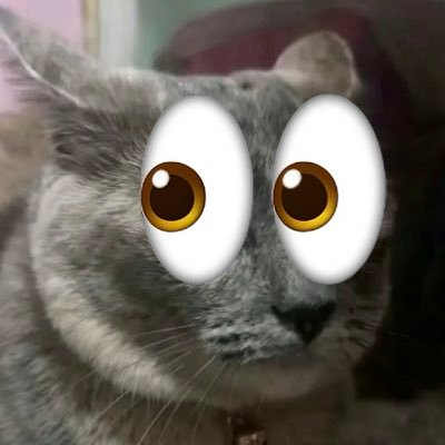 foodenjoyer75's profile picture. IM A MINOR ⚠️⚠️ (15) nsfw dni