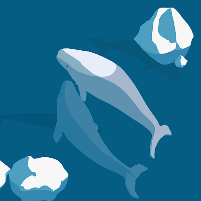 XIsbiH5Hp976850's profile picture. 