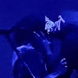 forkci's profile picture. im forkui on tiktok // 394 followers someday…?!!!