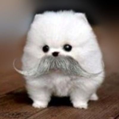 g0nzttc's profile picture. i love my gf @prttybku 💙