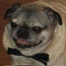 givemeAmfexa's profile picture. 𝑴𝒆𝒏𝒂𝒄𝒆 𝒕𝒐 𝒔𝒐𝒄𝒊𝒆𝒕𝒚 𝒘𝒉𝒆𝒏 𝒂𝒊𝒏𝒕 𝒎𝒆𝒅𝒊𝒄𝒂𝒕𝒆𝒅