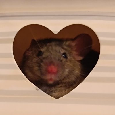 wuanixx's profile picture. メ
Arquitecta de día. 
Manca de noche.