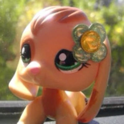 nettlesjackets's profile picture. shannon lynch's real, biological mother 🚬