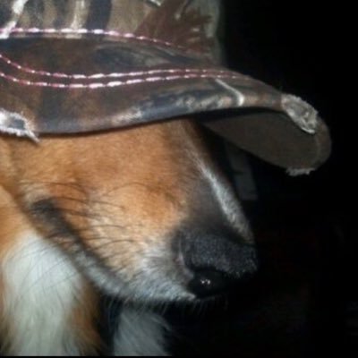 xX_puppygirl_Xx's profile picture. 🏳️‍⚧️Skyla, dumbass puppygirl (21)👾she/it/pup 🐶 ΘΔ Pro-Kink Pro-Drug 💊 18+ | @littlesisplanet 💜no.1 chalk eater