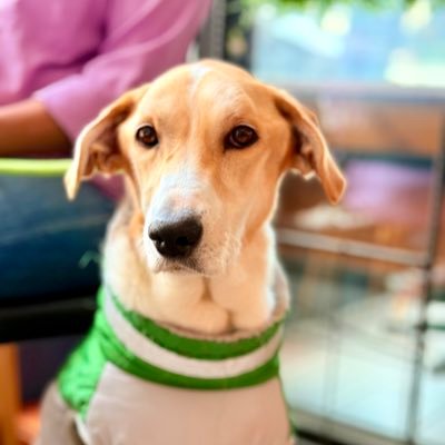 ZmixVal's profile picture. Todavia.           Instagram: zmixval