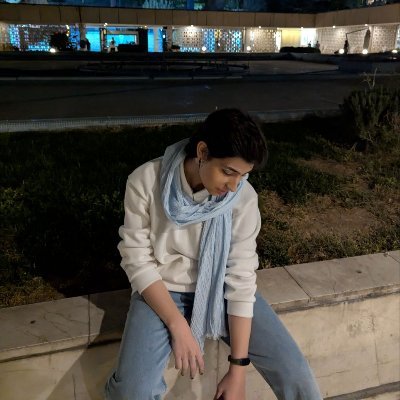 TheSpikySpike's profile picture. از همه چیز هَراسان ام...

Gym rat سابق،
گیمر بازنشسته،
تنها کاربر باقی مونده Windows 95