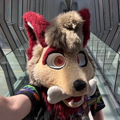 ghostline421's profile picture. 🏳️‍🌈I’m a gamer at heart, I’m also Member of The Mystic Alliance!!! and yes I’m a furry. level 26. 🟫🟧🟫