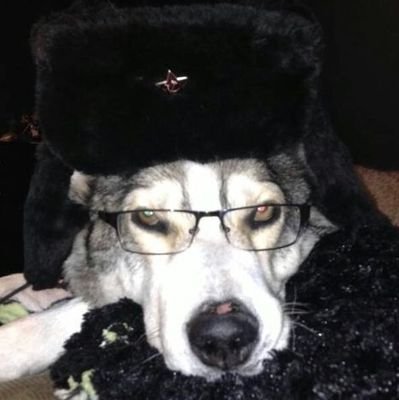 LeonhardtMarcy's profile picture. Fotógrafo, escritor, atleta e burro 

@POIS0NIVE 💍