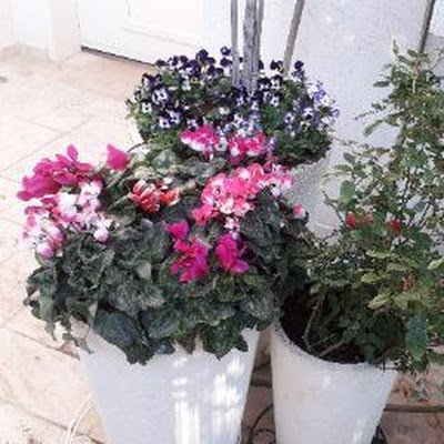 haim6245's profile picture. 