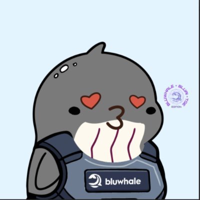 0xZoom4X's profile picture. Riding the ponzi of magic internet money some will say its the future of finance /Building something interesting