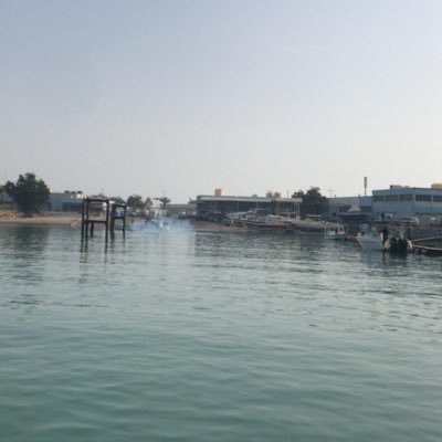 wael05076740's profile picture. " اللهم كُن معي في كل خطوه بحياتي فلا حول ولا قوه لي إلا بك".