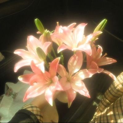 4eg_9's profile picture. مساحة شخصية.