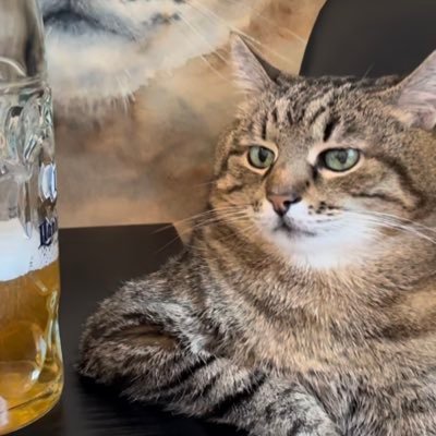 bubblewanted's profile picture. 