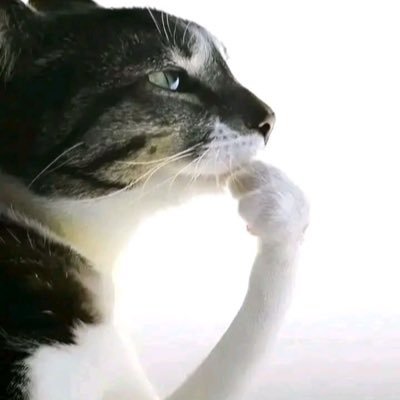 sqouik2's profile picture. en train de me tirer la nouille ne pas déranger