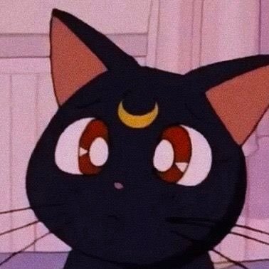 reyuritaa's profile picture. @shefiorg s14