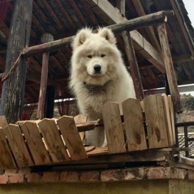 xtnjohnson's profile picture. Editor, recovered lawyer. Only personal views expressed here.