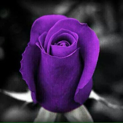 BenitoAgenjo's profile picture. 