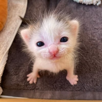 biktimusandim01's profile picture. 