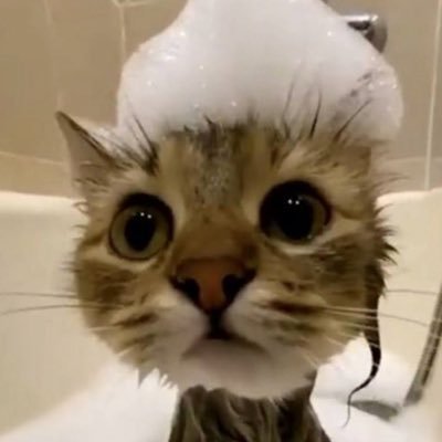 2admus's profile picture. 