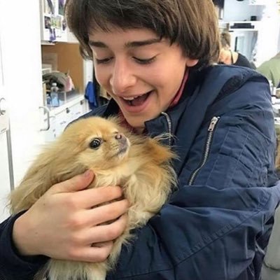 iyamapickle's profile picture. Yaoi maxxing with dnp and byler ˖ ࣪ ⊹ ࣪ ★ ⋆.˚ ⊹ ࣪ ࣪ ˖⋆˚★ ₊ ⊹ ࣪˖ ࣪ ₊ ࣪ ˖ . ݁ ⊹ ࣪ ˖ ࣪ ˖ . ݁ ݁ .