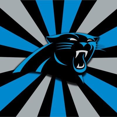 braddougan87's profile picture. Carolina Panthers Fan, Florida Gators Fan, Dirt Late Model Fan, #BabbBabbBabb, Nick Hoffman Fan, 🍇 Farm Employee, Type 1 Diabetic, Coaster Enthusiast!