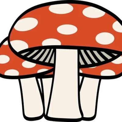 GreatBrita9798's profile picture. Brexiteer 🇬🇧 Loving Husband, dad and Grandfather. All new to X. Grow Mushrooms 🍄 and others...Get more details via link in bio 👇👇