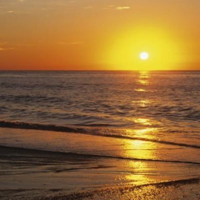 UltramagaCricey's profile picture. I’m a cool lady that love adventure I hate lies,cheat and I am not here for games of whatsoever Ultra MAGA to the core and No bots No Dms