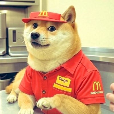 dave_watches's profile picture. Owner of La Touraine Watches, crypto enthusiast and vibe coder. Built a six figure ecom brand and StrideFuel - an AI powered health and fitness app.