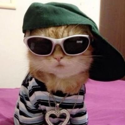 sslesb's profile picture. un poquito de todo lo que me gusta en mi header