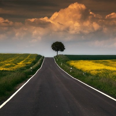 OMartinOfficial's profile picture. 