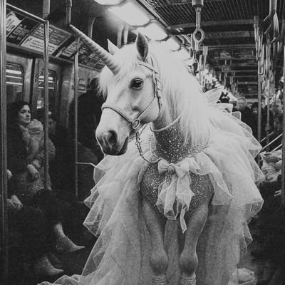 JohnG5789695652's profile picture. Aquarius Prince 🤍