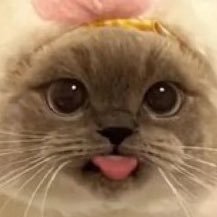 surajdukhii's profile picture. 