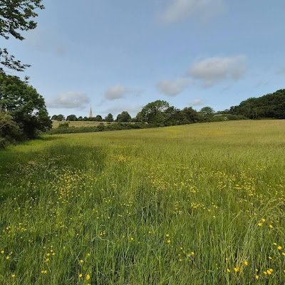 ClaireColl66669's profile picture. 