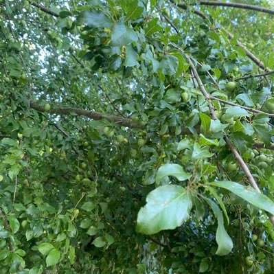 Jasy19939Jasy's profile picture. 