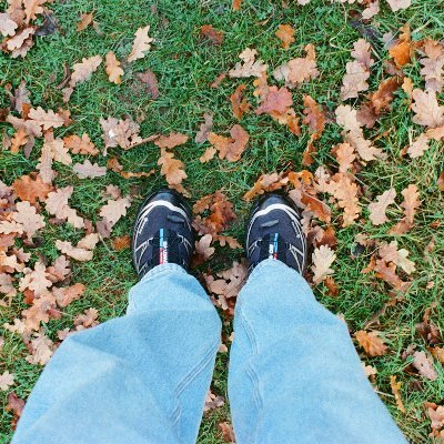 t4grain's profile picture. film photography and tech