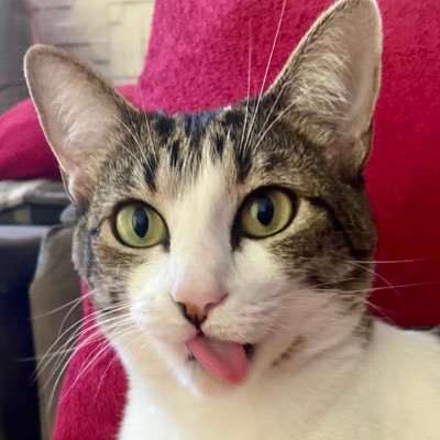 callmetthai's profile picture. 