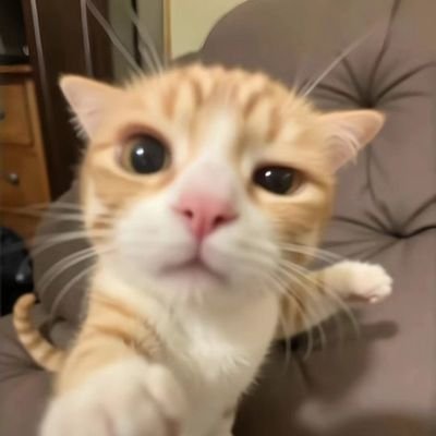 Yo_Daniel_Lobo's profile picture. IT