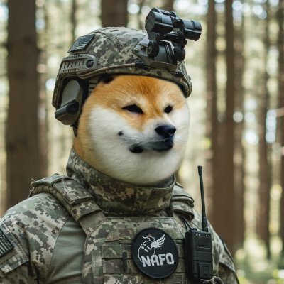 DJWK_'s profile picture. NAFO FELLA
Follow Me...I Follow Back!