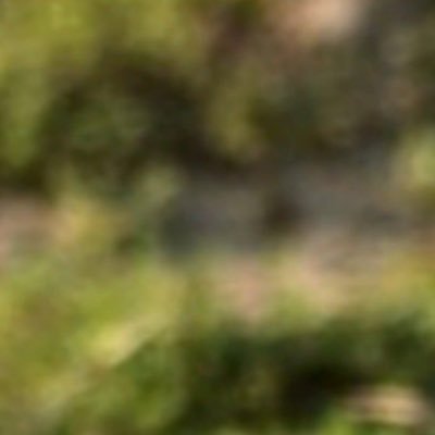 CBouchriha's profile picture. 