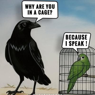 IsaIdriz's profile picture. Research Journalist, Critical Analyst, Religious Scholar, Writer, War/Conflict Reporter & Intelligentsia