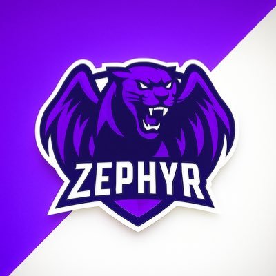 vzephyryt's profile picture. Founder of @NextLevelClan2K👾 | NBA2K Creator🖤 | 1.74K Subscribers🃏 | Zepherry♣️ @PoggersShop