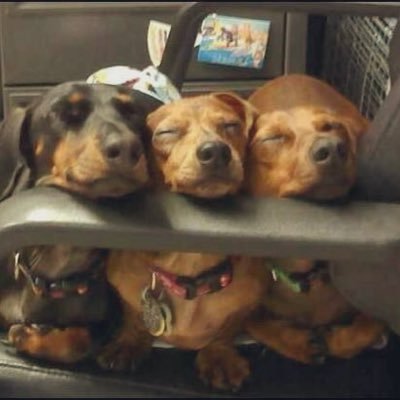 mionestudando's profile picture. 